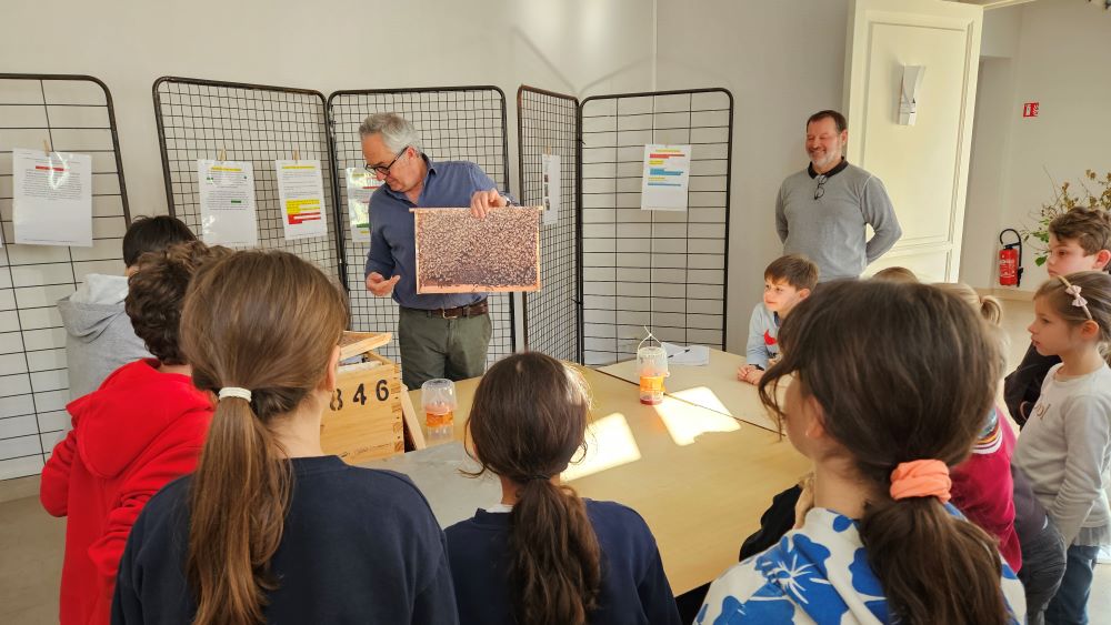 Atelier Frelon asiatique 18 mars 2026